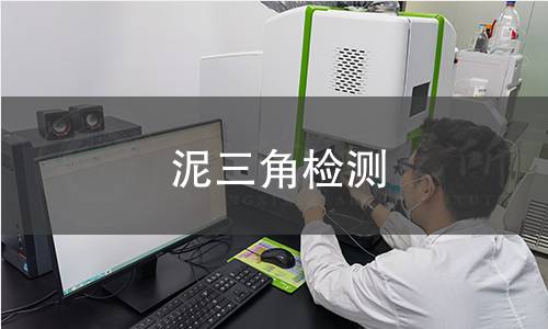 泥三角檢測(cè),泥三角檢測(cè)機(jī)構(gòu),泥三角高溫灼燒支撐檢測(cè)