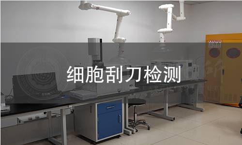 細(xì)胞刮刀檢測(cè),細(xì)胞刮刀檢測(cè)機(jī)構(gòu),貼壁細(xì)胞收集工具檢測(cè)