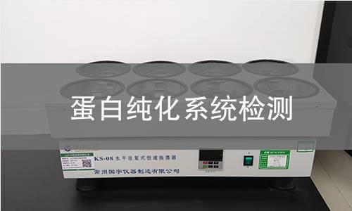 蛋白純化系統(tǒng)檢測(cè),蛋白純化系統(tǒng)檢測(cè)機(jī)構(gòu),蛋白純化系統(tǒng)檢測(cè)報(bào)告,中析研究所檢測(cè)中心