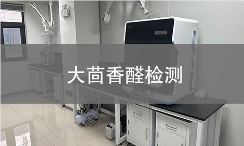 大茴香醛檢測(cè)