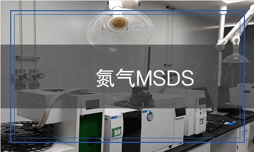 氮?dú)釳SDS