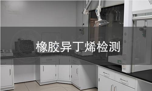 橡膠異丁烯檢測