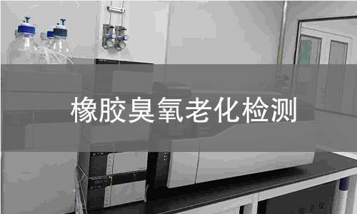橡膠臭氧老化檢測(cè)