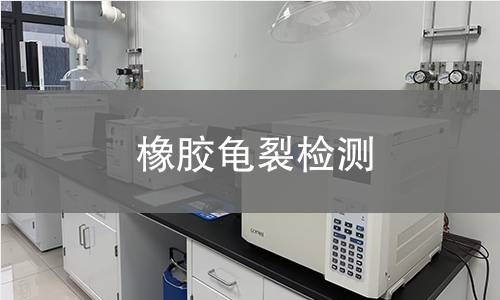橡膠龜裂檢測