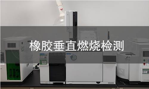 橡膠垂直燃燒檢測(cè)
