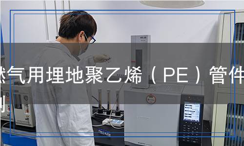 燃?xì)庥寐竦鼐垡蚁≒E）管件檢測