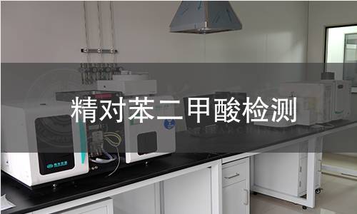 精對(duì)苯二甲酸檢測
