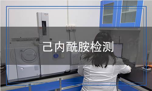 己內(nèi)酰胺檢測(cè) 己內(nèi)酰胺檢測(cè)