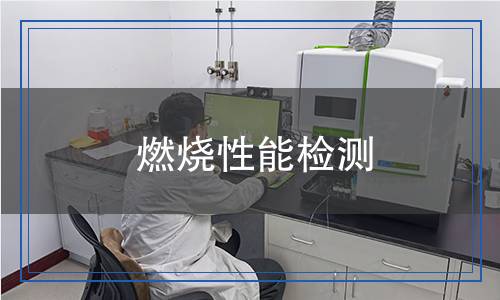 燃燒性能檢測
