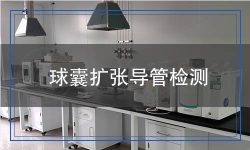 球囊擴(kuò)張導(dǎo)管檢測