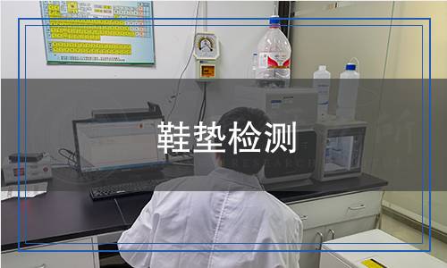 鞋墊檢測