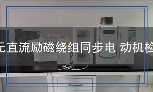 無(wú)直流勵(lì)磁繞組同步電動(dòng)機(jī)檢測(cè)