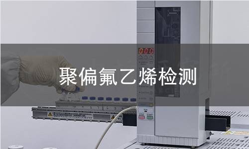 聚偏氟乙烯檢測(cè)
