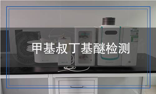 甲基叔丁基醚檢測