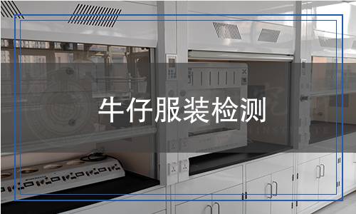 牛仔服裝檢測