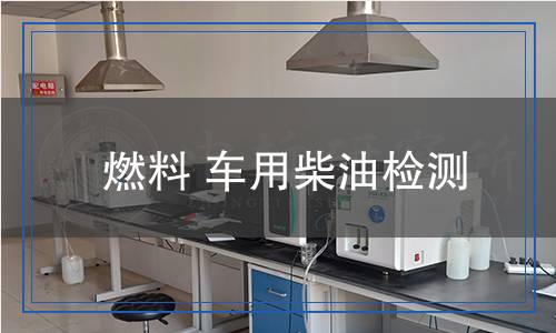 燃料車用柴油檢測