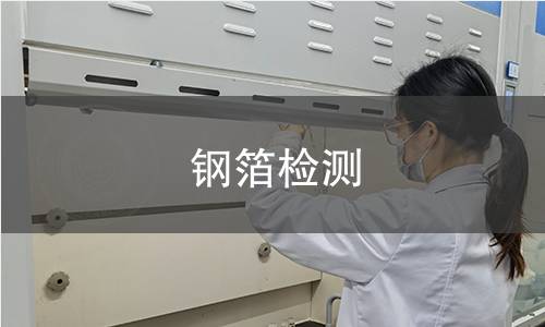 鋼箔檢測(cè)
