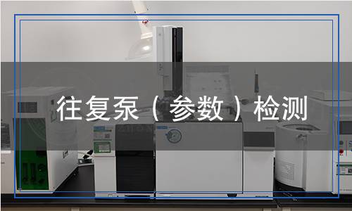往復(fù)泵（參數(shù)）檢測