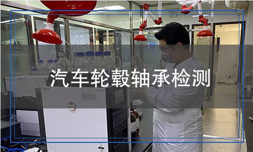 汽車輪轂軸承檢測