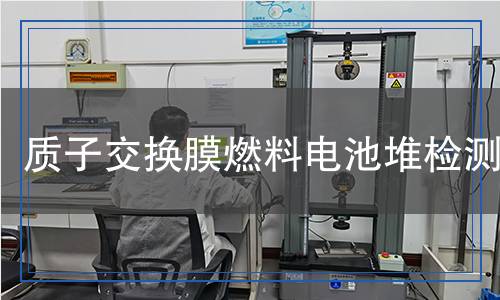 質(zhì)子交換膜燃料電池堆檢測