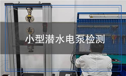 小型潛水電泵檢測