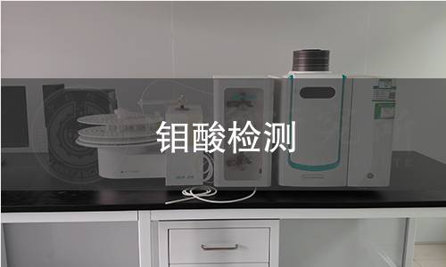 鉬酸檢測(cè) 鉬酸檢測(cè)