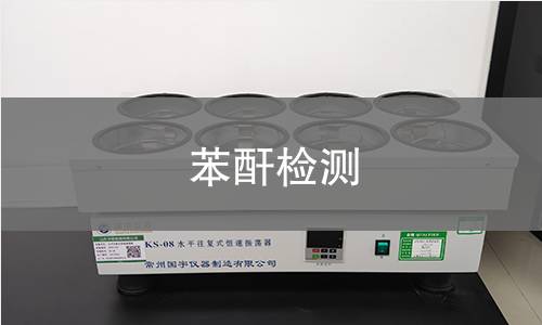 苯酐檢測