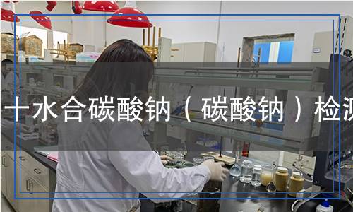 十水合碳酸鈉（碳酸鈉）檢測(cè)