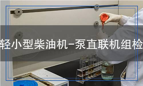 輕小型柴油機(jī)-泵直聯(lián)機(jī)組檢測