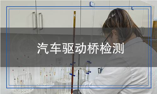 汽車(chē)驅(qū)動(dòng)橋檢測(cè)
