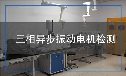 三相異步振動(dòng)電機(jī)檢測(cè)