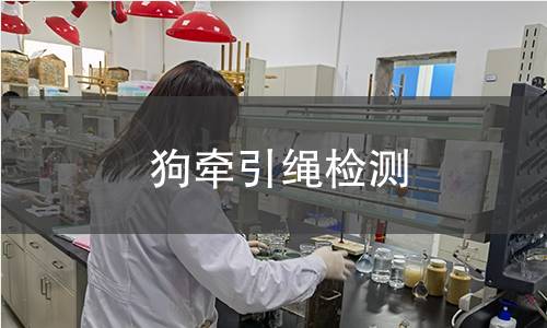 狗牽引繩檢測(cè) 狗牽引繩檢測(cè)
