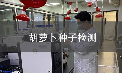 胡蘿卜種子檢測,胡蘿卜種子檢測機構(gòu),胡蘿卜種子檢測報告,北京中科光析科學(xué)技術(shù)研究所檢測中心