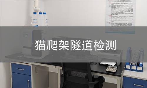 貓爬架隧道檢測(cè)