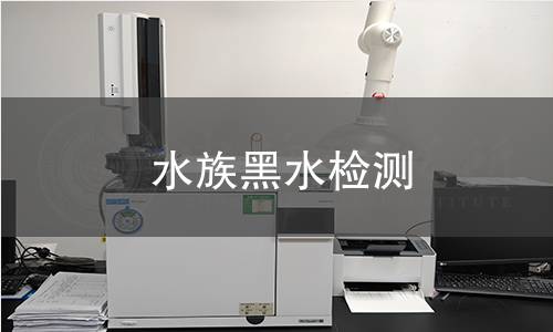 水族黑水檢測(cè)