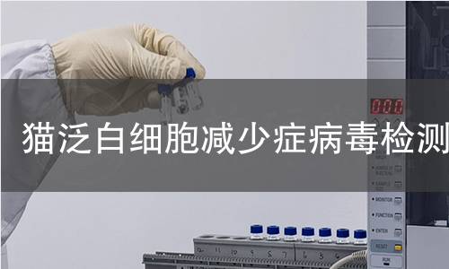貓泛白細胞減少癥病毒檢測