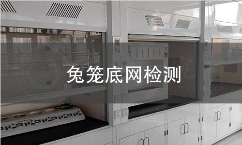 兔籠底網(wǎng)檢測