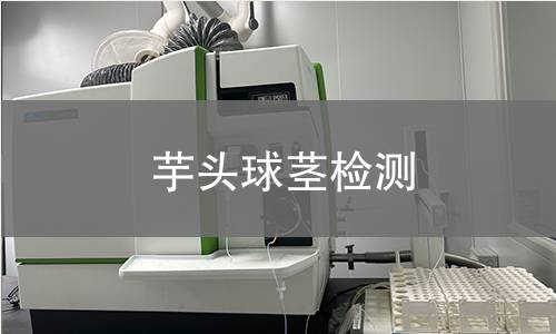 芋頭球莖檢測,芋頭球莖檢測機構,芋頭球莖檢測報告,北京中科光析科學技術研究所檢測中心