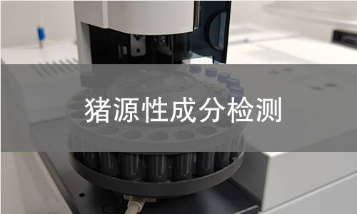 豬源性成分檢測