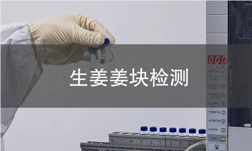 生姜姜塊檢測,生姜姜塊檢測機構,生姜姜塊檢測報告,中析研究所檢測中心