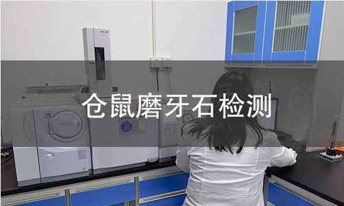 倉鼠磨牙石檢測