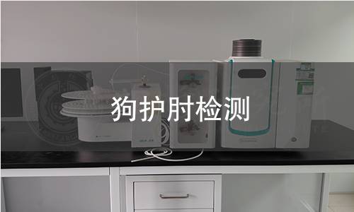 狗護(hù)肘檢測(cè)