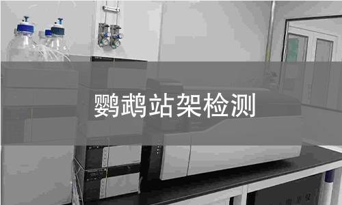 鸚鵡站架檢測
