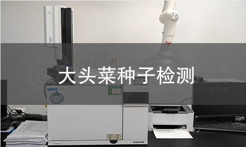 大頭菜種子檢測(cè),大頭菜種子檢測(cè)機(jī)構(gòu),大頭菜種子檢測(cè)報(bào)告,中析檢測(cè)中心