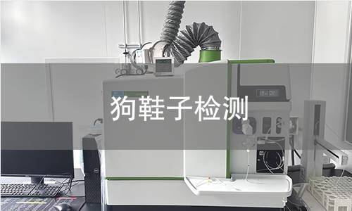 狗鞋子檢測(cè)
