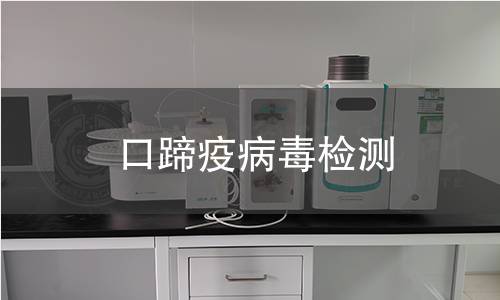 口蹄疫病毒檢測