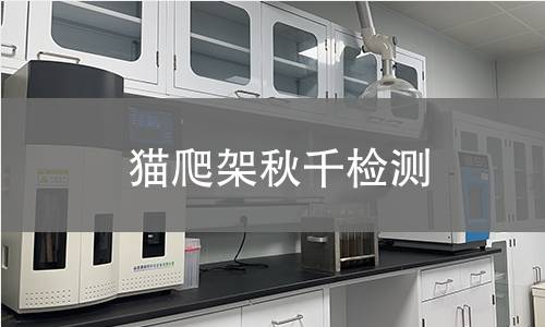 貓爬架秋千檢測