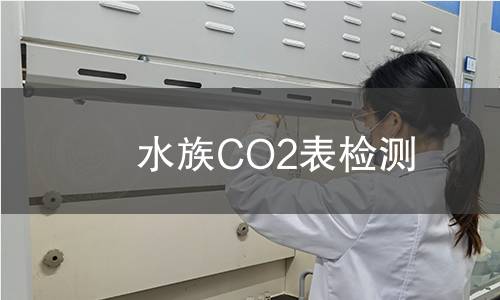 水族CO2表檢測