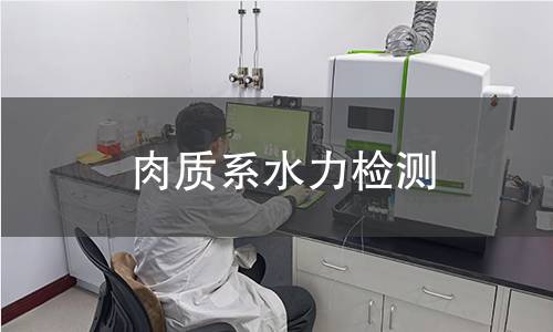 肉質(zhì)系水力檢測(cè)