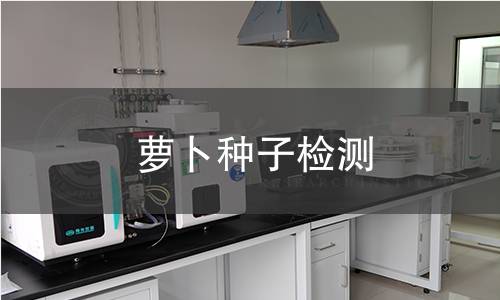 蘿卜種子檢測,蘿卜種子檢測機構,蘿卜種子檢測報告,中析檢測中心